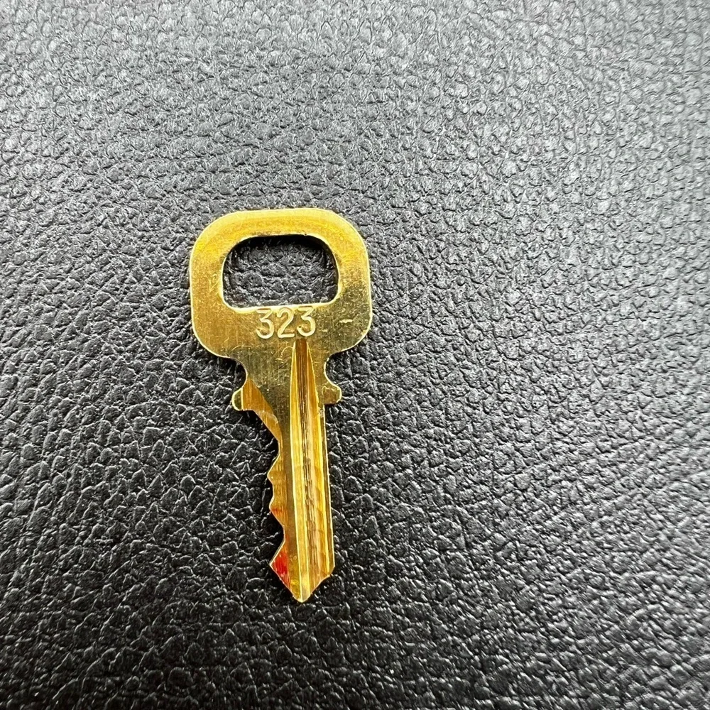 Louis Vuitton Lock and Key #323